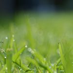 Food Tech Media Startup Funding, M&A and Partnerships: December 2015