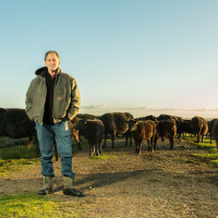 Blue Apron Aquires Bill Niman’s Ranch, Dig Inn Raises $30 Million, Robot Food Delivery to Food Deserts & More