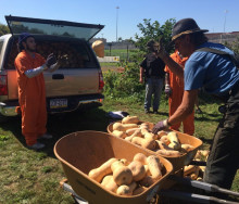 civil-eats-prison-farming