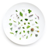 How Farm.One Uses Tech to Grow 500+ Specialty Crops For Chefs