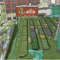 Redefining the Value Meal, Using Distribution Infrastructure to Make Sustainable Food Mainstream + More