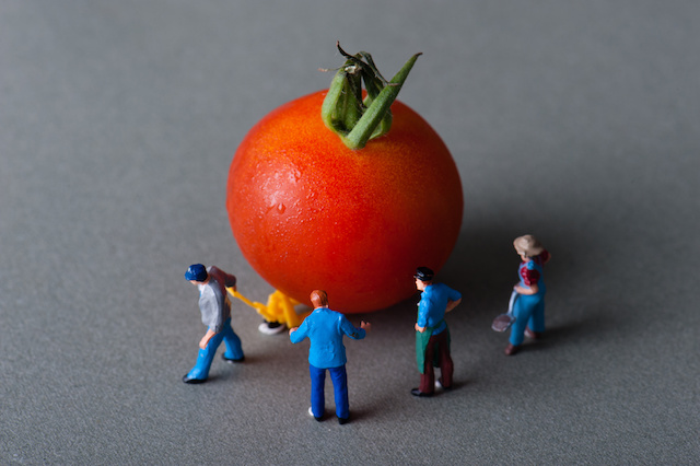 Food Distribution Challenges