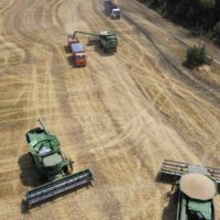 Ukraine Invasion Threatens Global Wheat Supply, Wildtype and Next Gen Foods Snag $100M + More