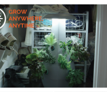 at-home-gardening