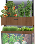 Grove Ecosystem Urban Hydroponic & Aquaponic System
