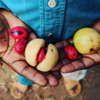 How Burlap & Barrel is Rethinking The Spice Supply Chain