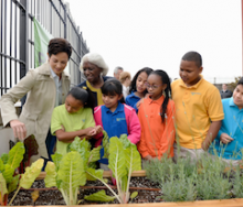 Mott_Haven_Garden