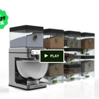 From a Beekeeper Hub to a Money-Saving Recipe App: 4 Rad Food Crowdfunding Projects