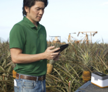 diagenetix-internet-of-food