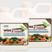Upcycling Food Waste into Fertilizer to Catalyze a New Green Revolution