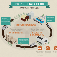 Harnessing Existing Distribution Infrastructure to Make Sustainable Food Mainstream