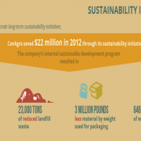 Reducing Food Waste & Creating a Sustainable Supply Chain [Infographic]
