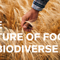 Food Biodiversity at Expo West 2019